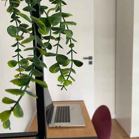 Na Krowodrzy * 克拉科夫